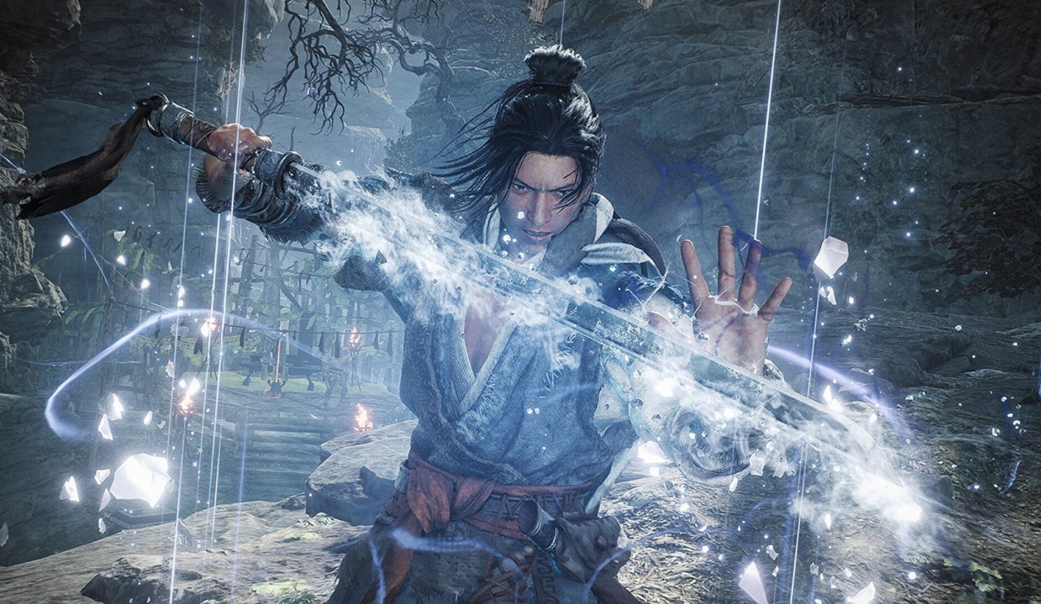 Koei Tecmo vraagt spelers welke games naar Game Pass moeten komen