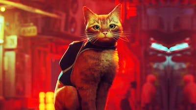 Kattengame Stray komt naar Nintendo Switch