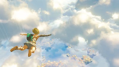 Breath of the Wild-glitch laat spelers alle Korok Seeds in één keer verdienen