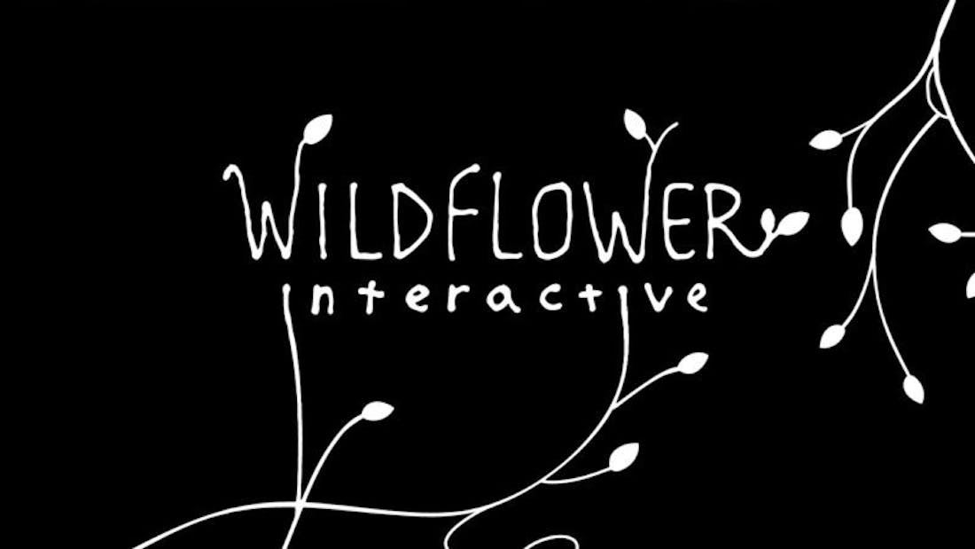 The Last of Us-maker richt nieuwe studio Wildflower Interactive op