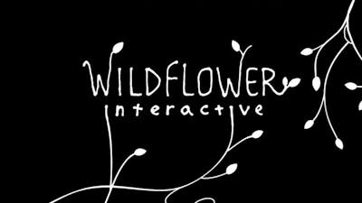 The Last of Us-maker richt nieuwe studio Wildflower Interactive op