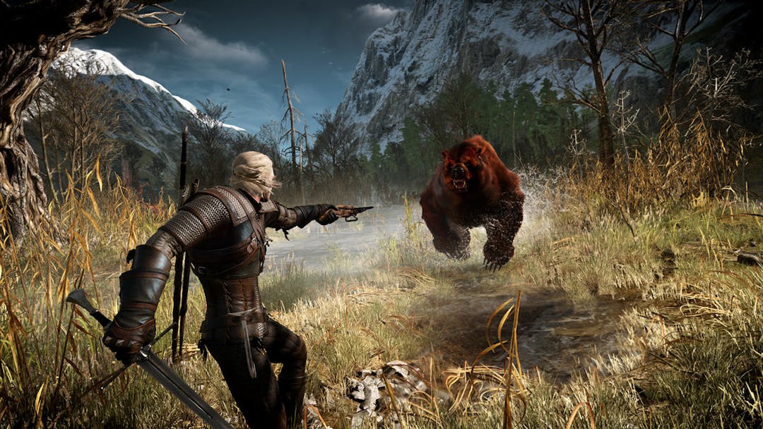 The Witcher Bear