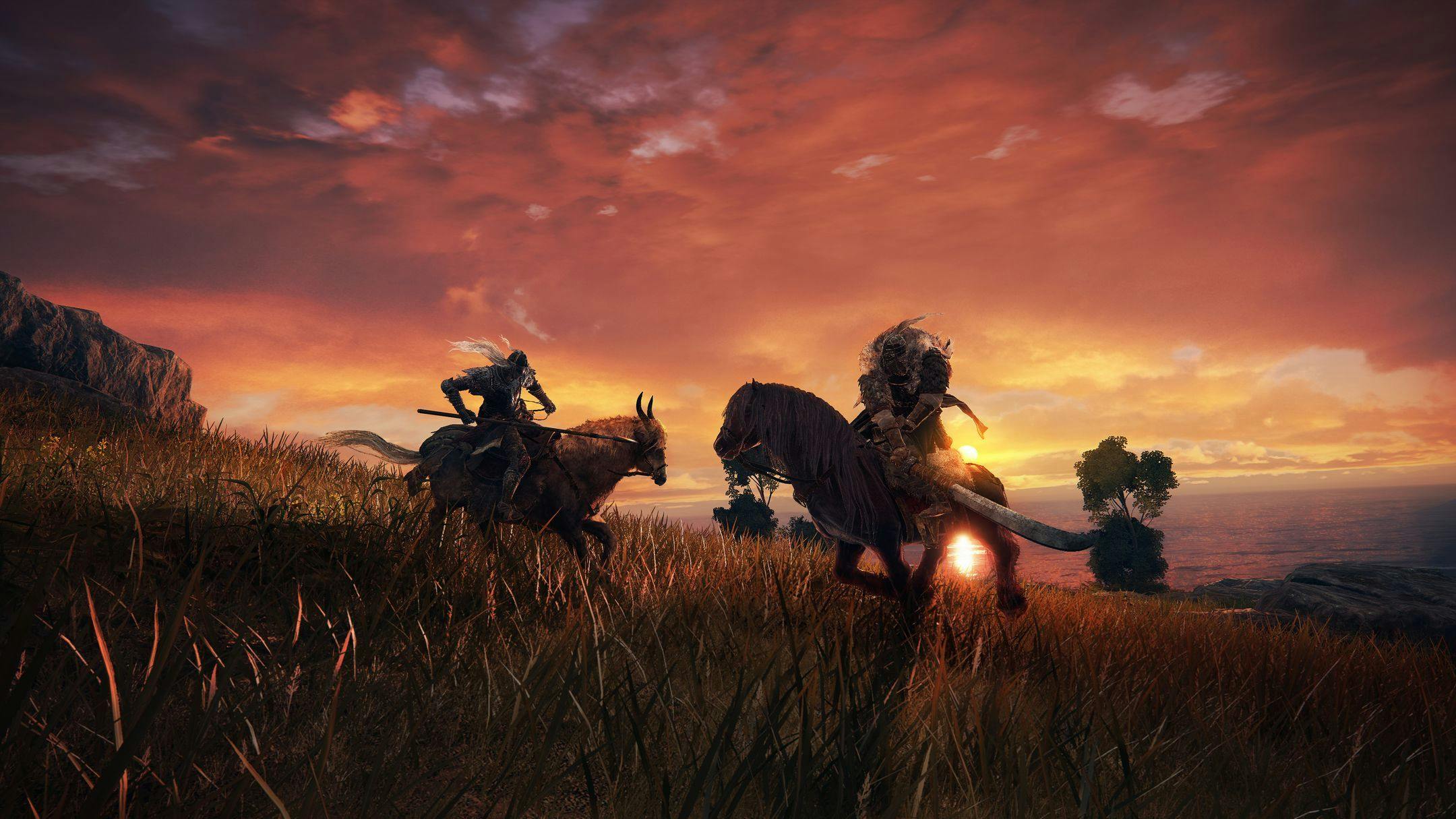 Patch Elden Ring lost 'deathloopbug' in pc-versie op