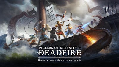 Pillars of Eternity 2: Deadfire komt niet meer naar Nintendo Switch