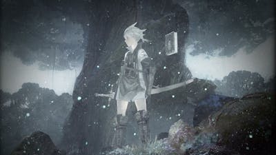 Bedenker grapt dat Nier-franchise ten einde is gekomen