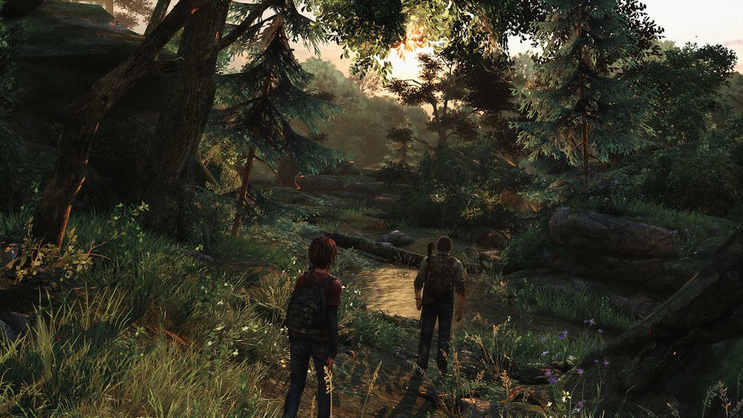 The Last of Us