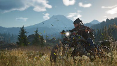 Zo ziet Days Gone er op pc uit