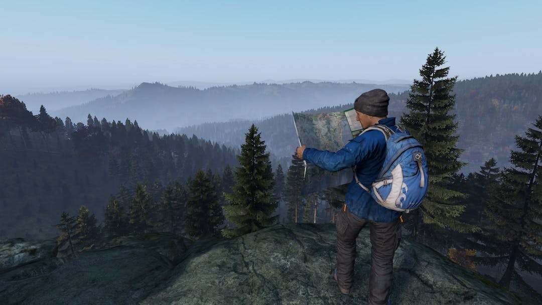 dayz