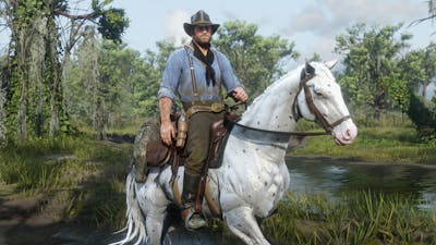 Red Dead Redemption 2 wint Steam Award voor game van het jaar