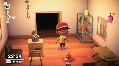 Gerucht: Dream Suite keert terug naar Animal Crossing: New Horizons