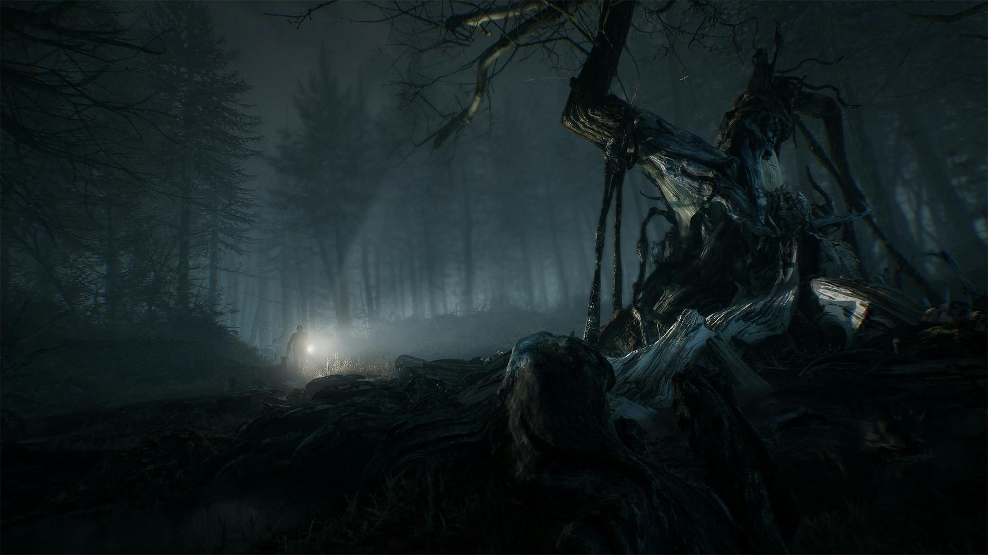 Mysterieuze herinneringen in gameplay-trailer Blair Witch