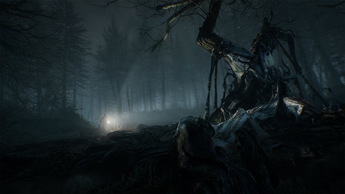 Hond speelt grote rol in horrorgame Blair Witch