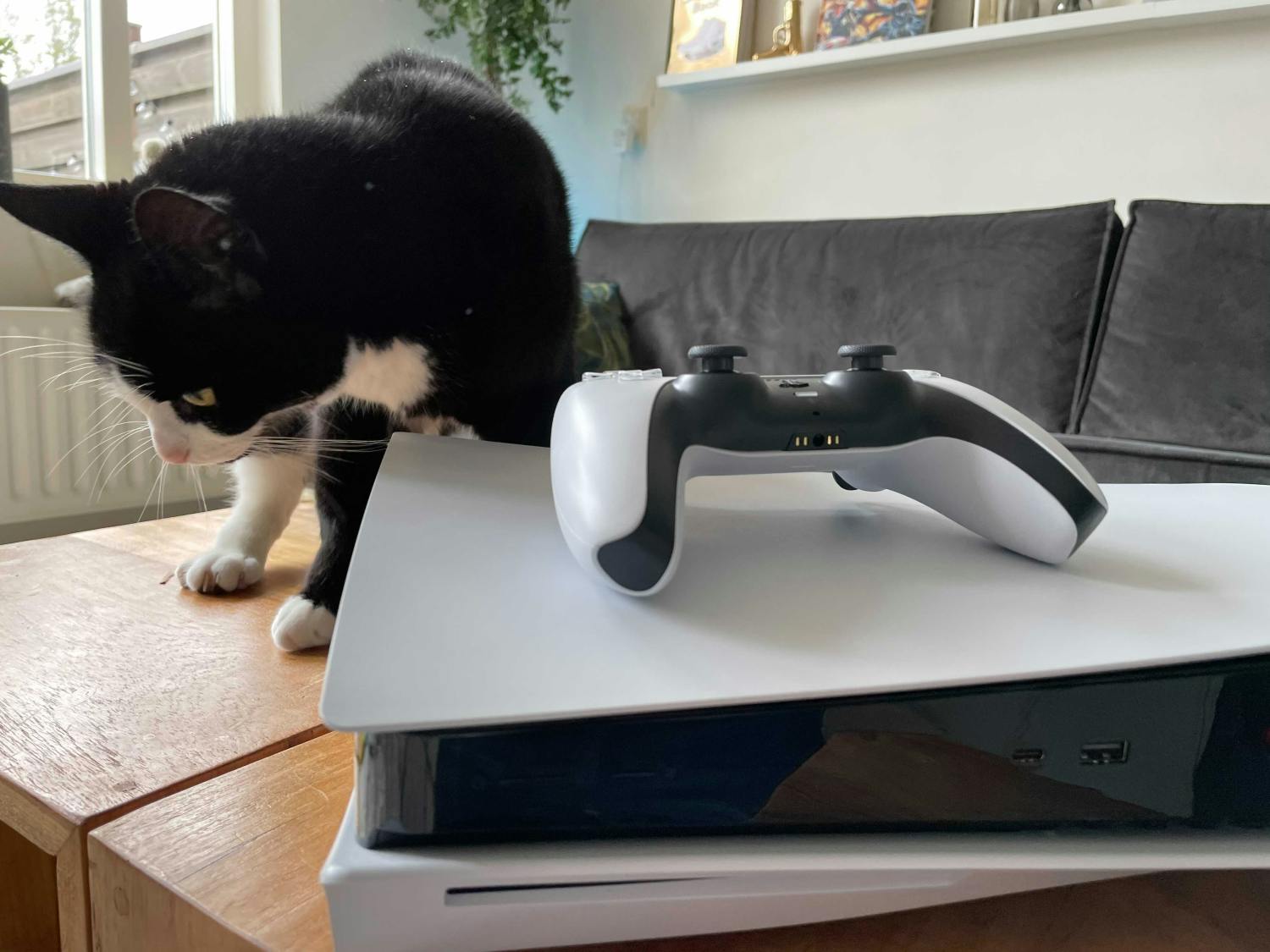 Fotoserie - De PlayStation 5 uitgepakt