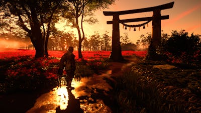 Ghost of Tsushima-update voegt aaien en rekruteren van honden toe