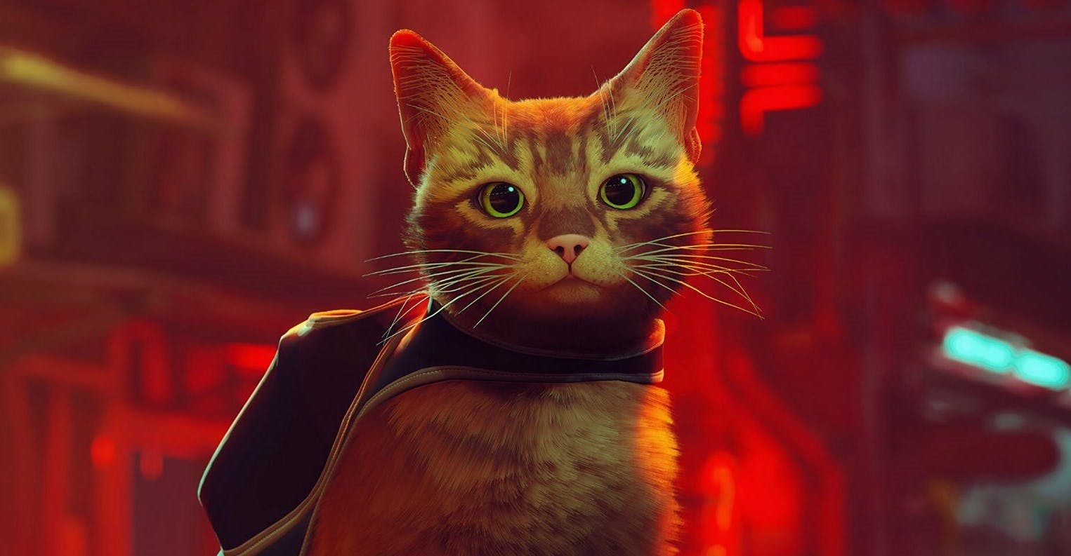Animatiefilm gebaseerd op kattengame Stray in de maak