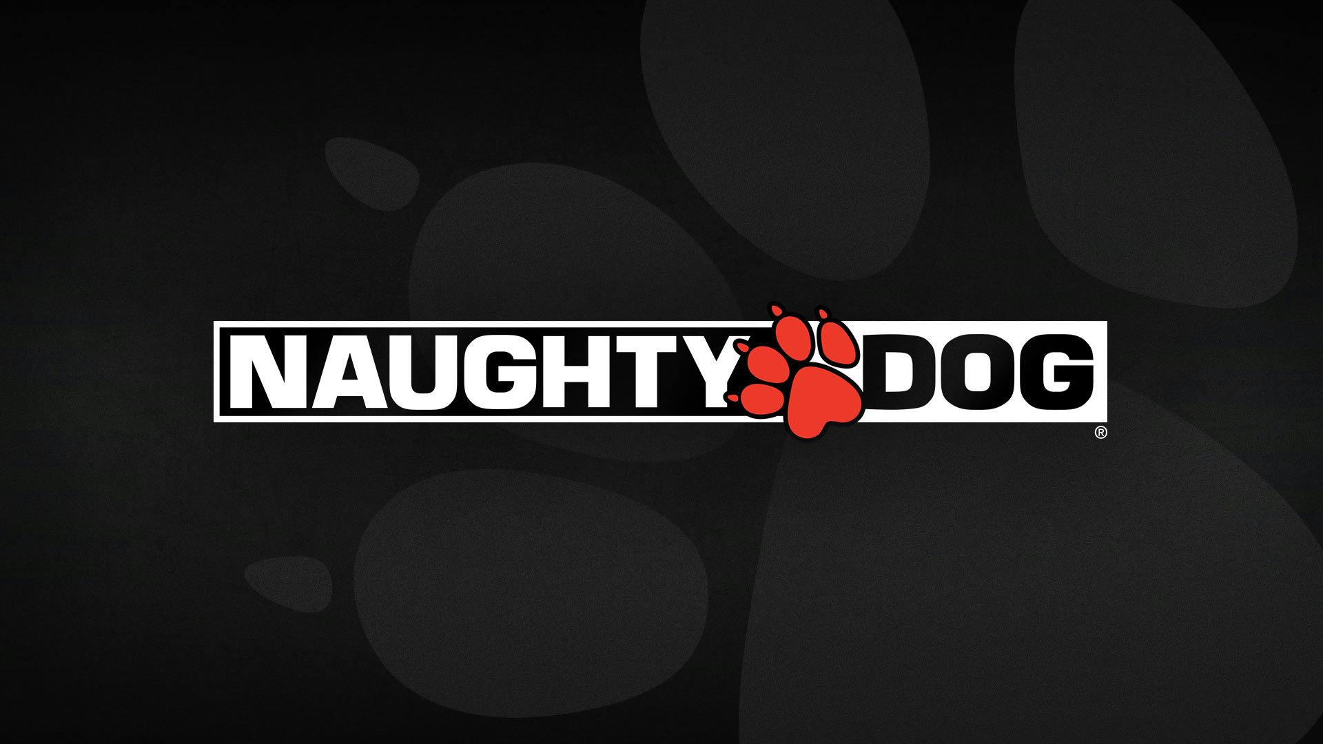 Artwork van Naughty Dog-werknemer was niet van nieuwe game