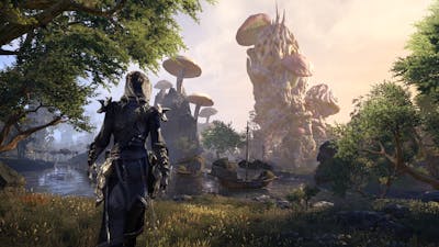 Alles over The Elder Scrolls 6