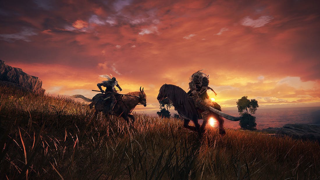 Elden Ring Elden Ring ondersteunt co-op voor vier spelers