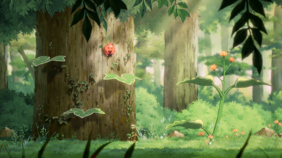 drf2_pjuwamzgig.jpg Hoa komt op 24 augustus uit