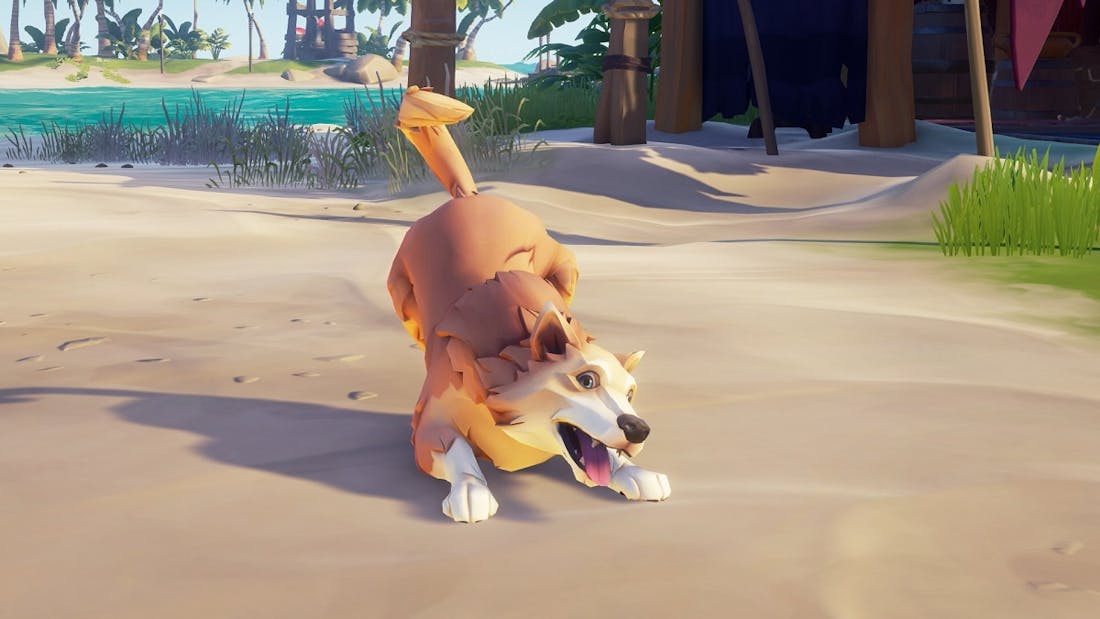 hondje.jpg Honden komen naar Sea of Thieves