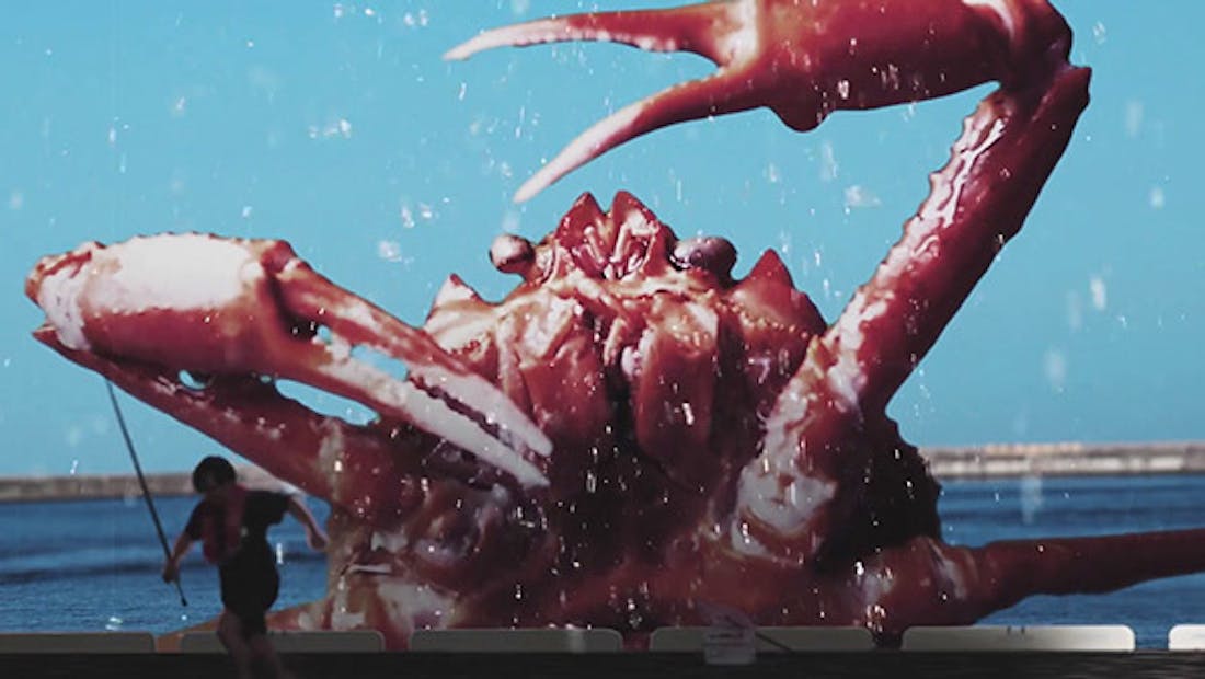 fight-crab-switch-pv_08-14-20.jpg Vechtende krabben uit Fight Crab komen naar de Switch