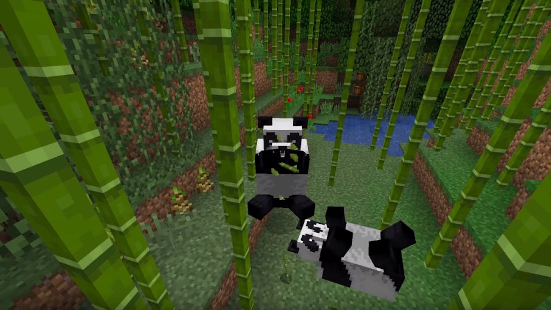 minecraft-panda.png Nu overal crossplay-ondersteuning voor Minecraft Bedrock Edition