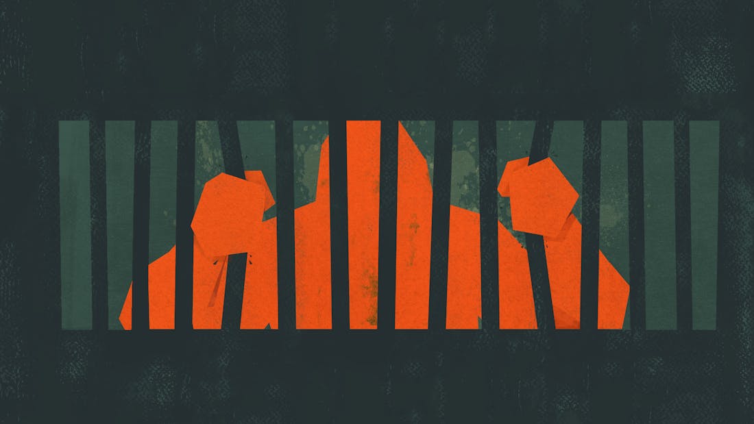 ape-out.png Ape Out is de perfecte fusie van stijl en gameplay