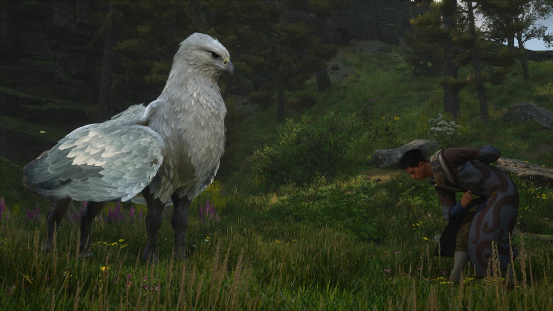 hogwarts-legacy-2_yu3NY4e.jpg Nog geen dlc op de planning voor Hogwarts Legacy