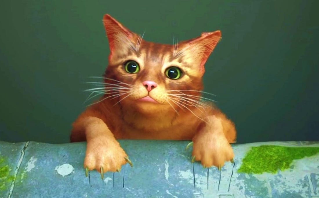 stray-beestje.jpg Kattengame Stray verschijnt op 19 november voor Nintendo Switch