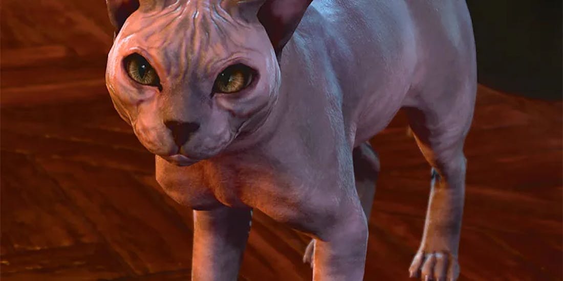 Baldur's Gate 3 Baldur's Gate 3-kat genaamd His Majesty is dankzij update weer kaal