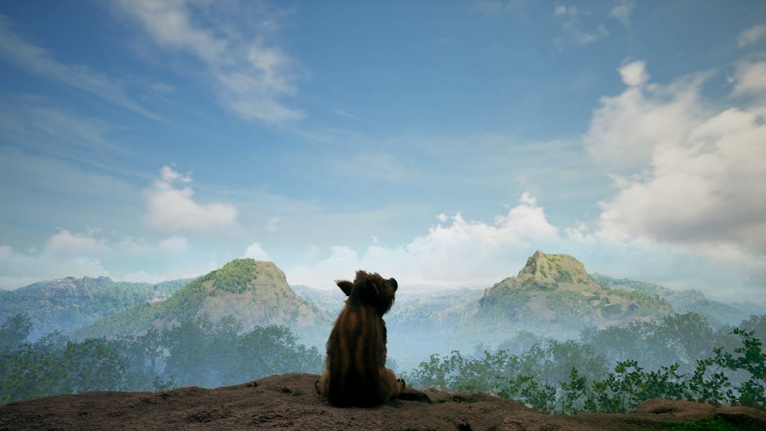 Adorable Adventures In Adorable Adventures speel je een verloren babyzwijntje