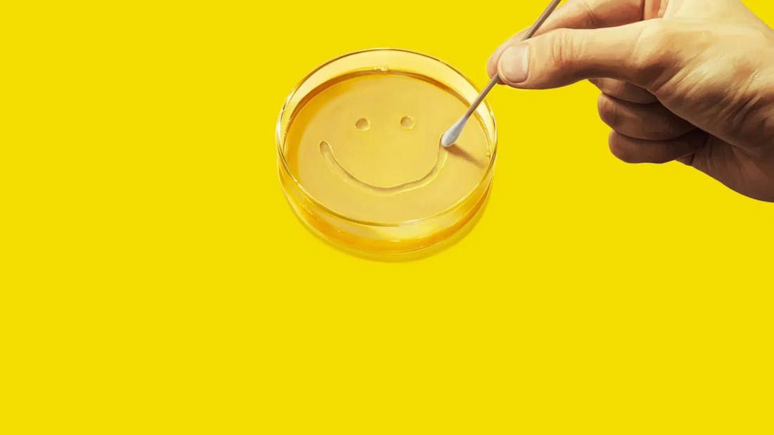 Pluribus Breaking Bad-maker geeft met nieuwe Pluribus-trailer iets meer weg