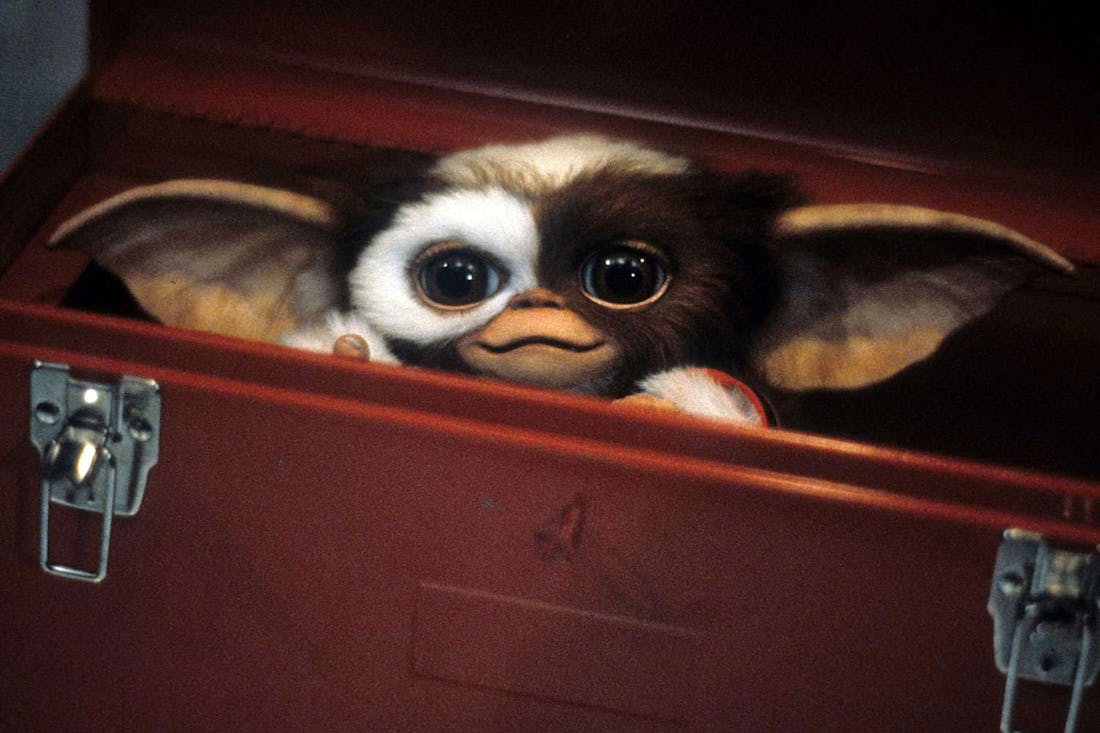 Gremlins Derde Gremlins-film gaat in 2027 in première
