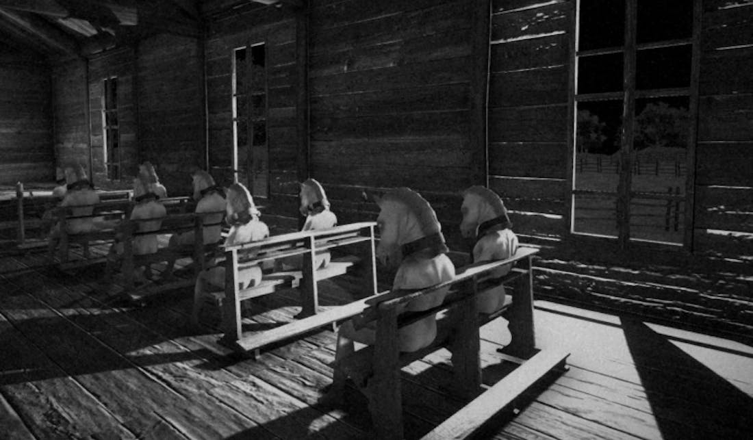 horses Horrorgame Horses mag niet op Steam verschijnen