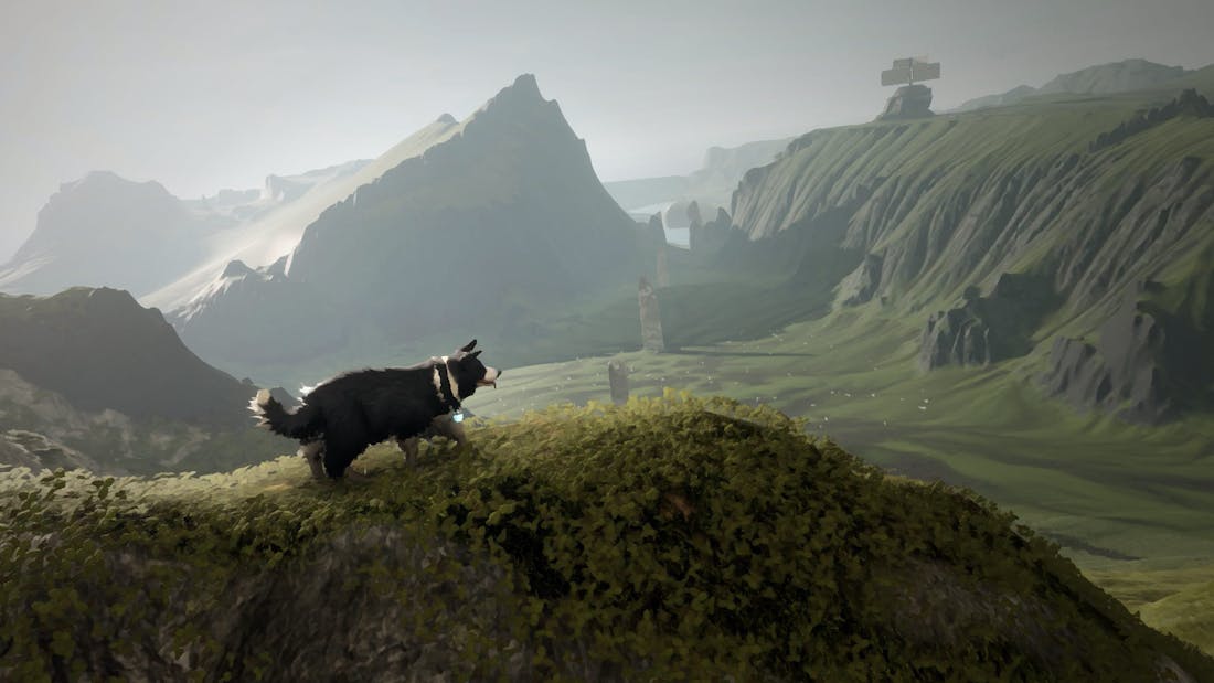 The Free Shepherd In The Free Shepherd bestuur je een herdershond